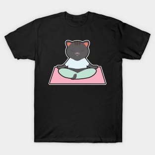 Cat at Yoga with Yoga mat T-Shirt